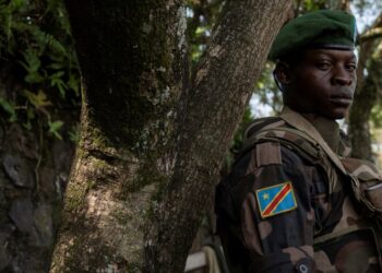 DR Congo’s Wartime Budget Revised Downward Amid Rising Military Costs and Tax Shortfall