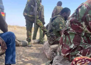 Ethiopian Authorities Arrest Four Suspects in Connection with Todonyang Killings