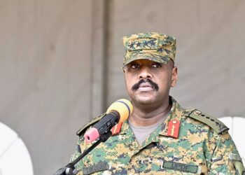 Ugandan Army Accuses German Envoy of ‘Subversive Activities’, Suspends Military Cooperation