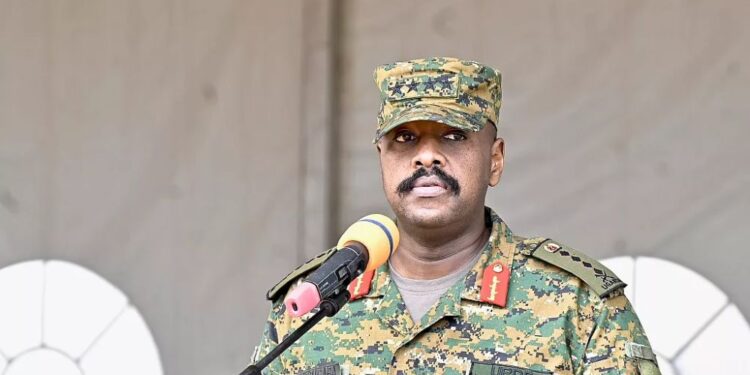 Ugandan Army Accuses German Envoy of ‘Subversive Activities’, Suspends Military Cooperation