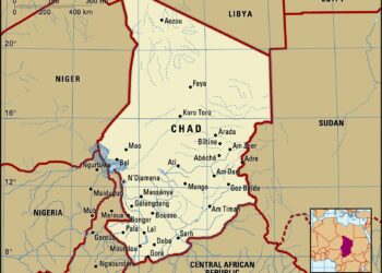 Two Killed in Aircraft Crash During Rhino Monitoring Mission in Chad