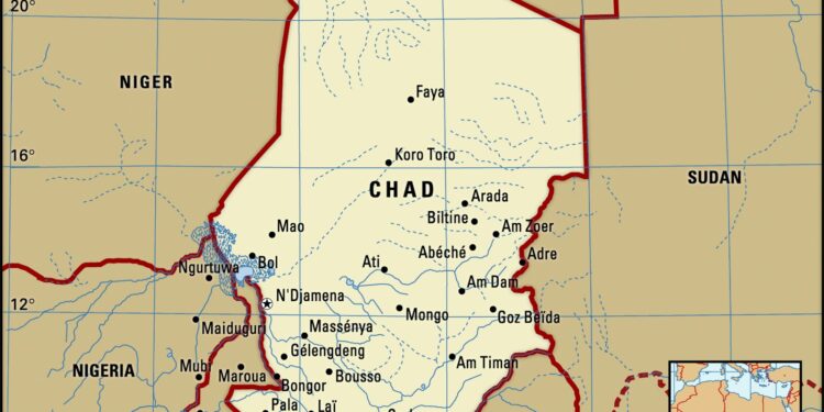 Two Killed in Aircraft Crash During Rhino Monitoring Mission in Chad