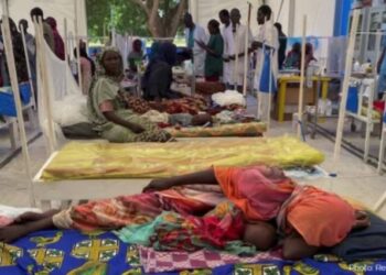 Sudan Records 172 Cholera Deaths Amid Worsening Humanitarian Crisis