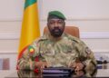 Mali Suspends Political Activities to Preserve Public Order