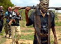 Nigeria: Scores Killed in Midnight Massacre as Armed Herdsmen Attack Taraba Villages