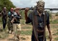 Bandits Kill 19 in Northeast Nigeria Ambush