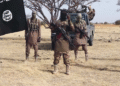 NIGERIA: ISWAP Kills 23 Farmers, Abducts 18 in Borno