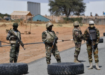 At Least 10 Soldiers Killed in Ambush in Southern Niger, Officials Say