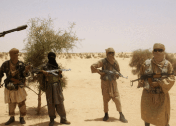 Malian Security Forces Accused of Kidnapping and Killing Civilians in Central Mali