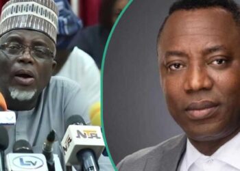 Nigeria: Sowore Demands JAMB Registrar’s Resignation and Prosecution Over Teen’s Suicide