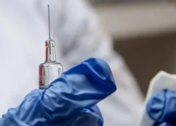 Briton Dies from Rabies After Puppy Scratch in Morocco