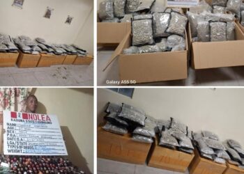 NDLEA Seizes Psychoactive Drugs Disguised as Green Tea