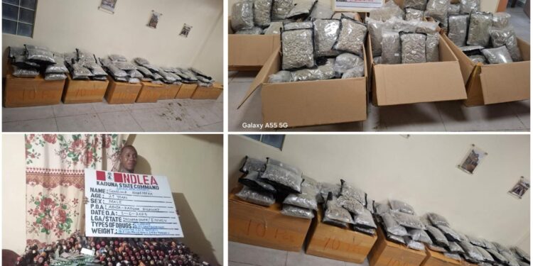 NDLEA Seizes Psychoactive Drugs Disguised as Green Tea