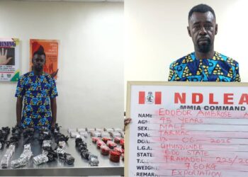 Nigeria: Italy-Based Courier Arrested with Tramadol at Lagos Airport Confesses to Being Paid €2000