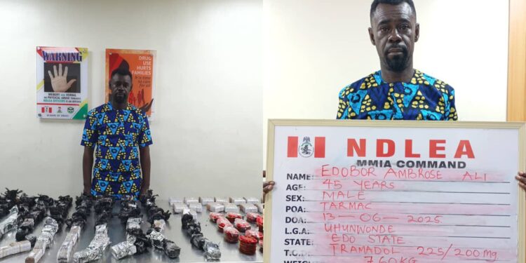 Nigeria: Italy-Based Courier Arrested with Tramadol at Lagos Airport Confesses to Being Paid €2000