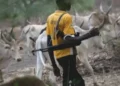 Nigeria: Armed Herdsmen Attack Benue Community, Kill Two Soldiers, NSCDC Officer