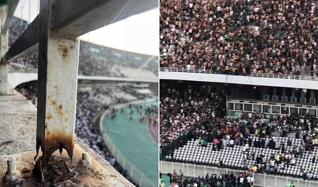 Three Fans Die in Algeria Football Stadium Fall