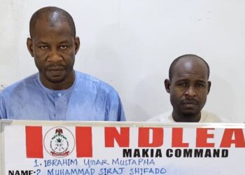 Nigeria: NDLEA Busts Cocaine Trafficking Ring, Intercepts ₦9.3 Billion Worth of Opioids