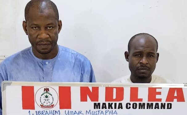 Nigeria: NDLEA Busts Cocaine Trafficking Ring, Intercepts ₦9.3 Billion Worth of Opioids