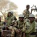 Niger’s Army Raids Jihadist-Controlled Gold Mines, Kills 13 Insurgents