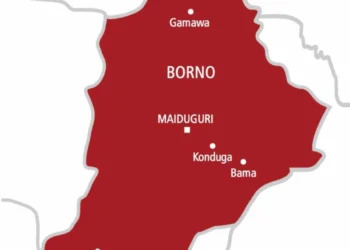 Nigeria: Bomb Explosion Kills Four Travellers in Borno