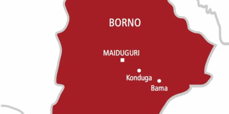 Nigeria: Bomb Explosion Kills Four Travellers in Borno