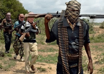 Nigeria: Gunmen Kill 2 Students, Abduct 2, Injure Others Near Federal Polytechnic in Anambra