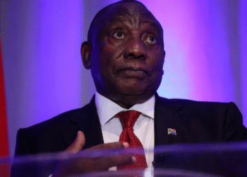 President Ramaphosa Removes Andrew Whitfield as Deputy Trade Minister