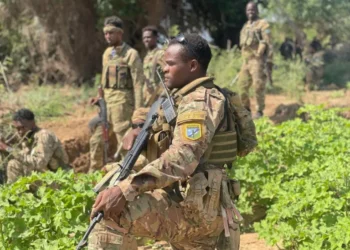 Somali Forces Kill Over 37 Al-Shabaab Terrorists in Jubbaland Operation
