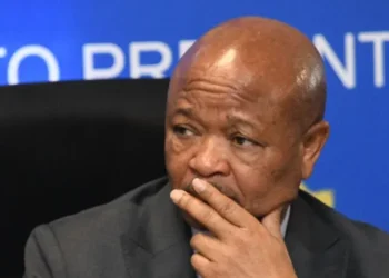 South African Police Minister Senzo Mchunu Suspended Amid Organised Crime Allegations