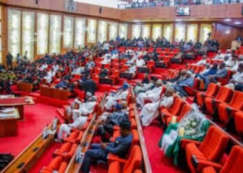 Nigerian Senate Passes Electricity Act Amendment Bill to Tackle Sector Collapse
