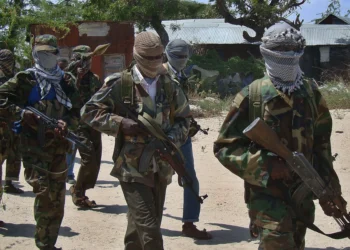 Ethiopia Arrests 82 Suspected Islamic State Militants Trained to Carry Out Operations