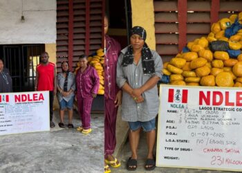 Nigeria: NDLEA Nabs Lagos Businessman, Wife, and Daughters for Running Major Drug Network