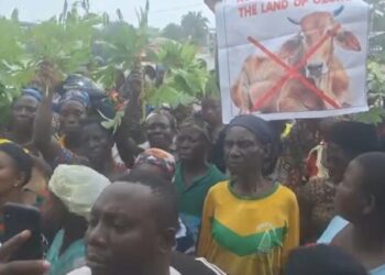 Nigeria: Delta Women Protest Against Herdsmen’s Farm Destruction, Seek Government Intervention