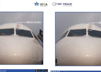 Nigeria: Air Peace Flight Returns to Lagos After Bird Strike