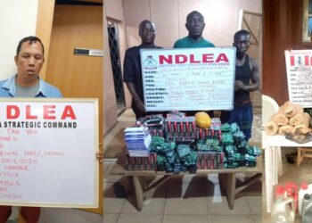 Nigeria: NDLEA Arrests Chinese Man, 80-Year-Old Woman in Major Drug Busts