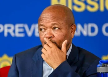 South Africa’s Police Minister Accused of Links to Criminal Gangs