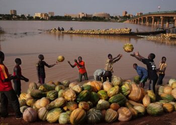 US Pauses Visa Processing at Embassy in Niger Amid Diplomatic Concerns
