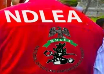 Nigeria: NDLEA Nabs Wanted Drug Kingpin, Recovers Cocaine, Loud from Microwaves, Lipsticks