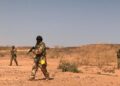 Terrorists Kill Two Indians, Abduct One in South-West Niger
