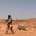 Terrorists Kill Two Indians, Abduct One in South-West Niger