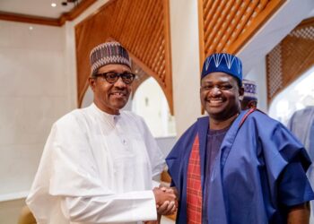 Nigeria: ‘Buhari Could Have Been Long Dead If He Used Nigerian Hospitals’ – Adesina