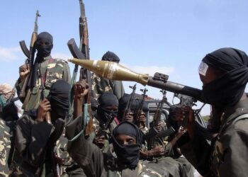 Al-Shabab Seizes Control of Strategic Somali Town Mahaas