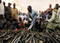 Nigeria: Katsina Government Reveals Alarming Death Toll in Banditry Fight