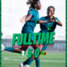 Super Falcons of Nigeria Crush Zambia 5–0 to Reach WAFCON Semi-Finals
