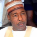NIGERIA: Governor Zulum of Borno Sacks Two Commissioners, Appoints New Officials