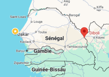 Suspected Militants Launch Attacks on Multiple Military Bases in Mali