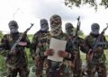 Al-Shabaab Captures Central Somali Town