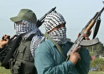 Nigeria: Gunmen Kill Nigerian Police Inspector, Civilian in Deadly Benue Attack