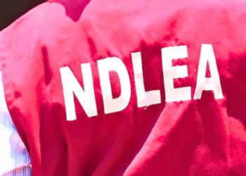 Nigeria: NDLEA Intercepts Cocaine Hidden in Mirrors, Lipsticks, and Footwear in Multiple Operations